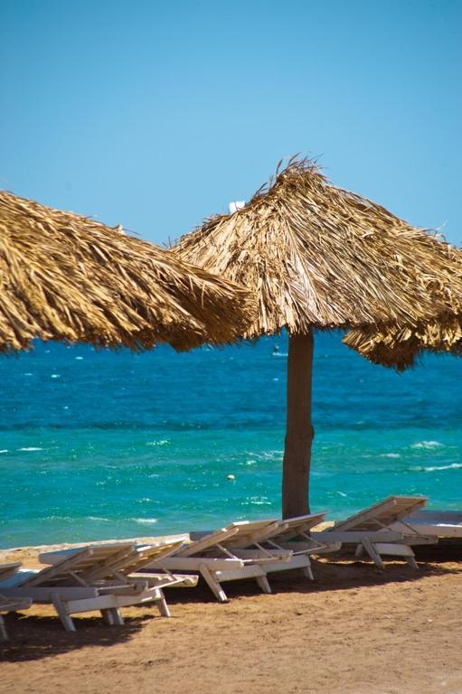 Jasmine Village Χουργκάντα Εξωτερικό φωτογραφία