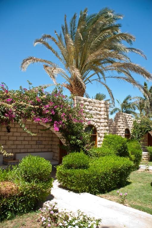 Jasmine Village Χουργκάντα Εξωτερικό φωτογραφία